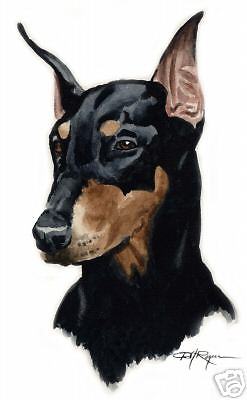 247x400 Doberman Pinscher Art Print Dog Watercolor 8 X 10 Signed By Artist