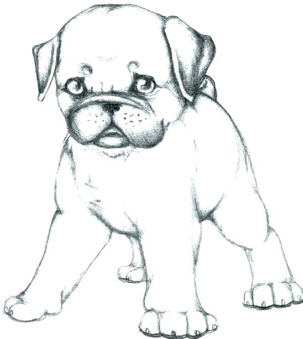 600x671 Dogs To Color And Print Dog Color Pages Cool Dogs Coloring Pages