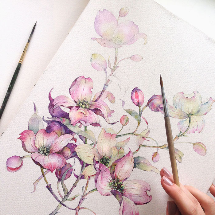 700x700 Dogwood In Watercolor On Behance