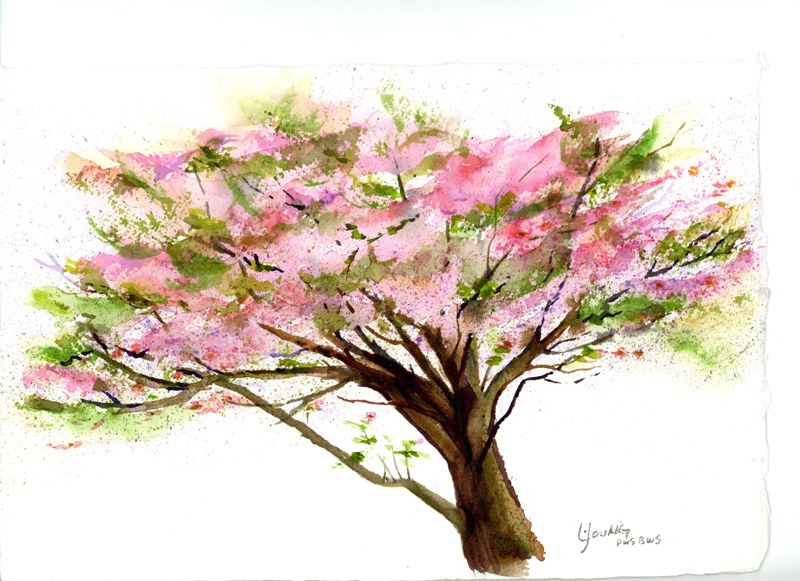 800x581 Dogwood Tree En Plein Air Linda Young Watercolors And Fine Art Blog