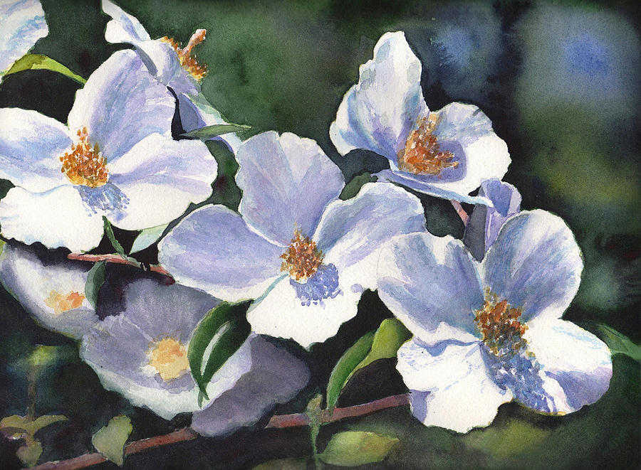 900x661 English Dogwood Painting By Kathy Nesseth