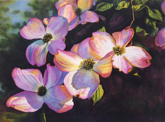 570x421 Pink Dogwoods Art Watercolor Painting Print By Cathy Hillegas Etsy