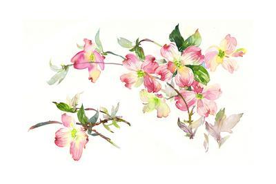 400x267 Thin Branches Of Watercolor Dogwood Flowers Art Print By