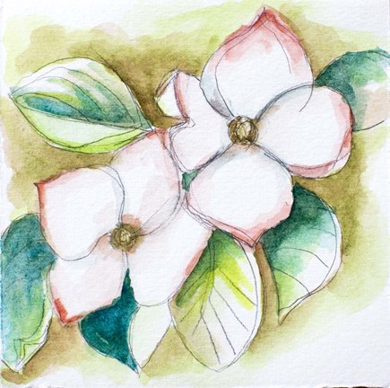 435x432 Watercolor Dogwood Art By Elizabeth St. Hilaire