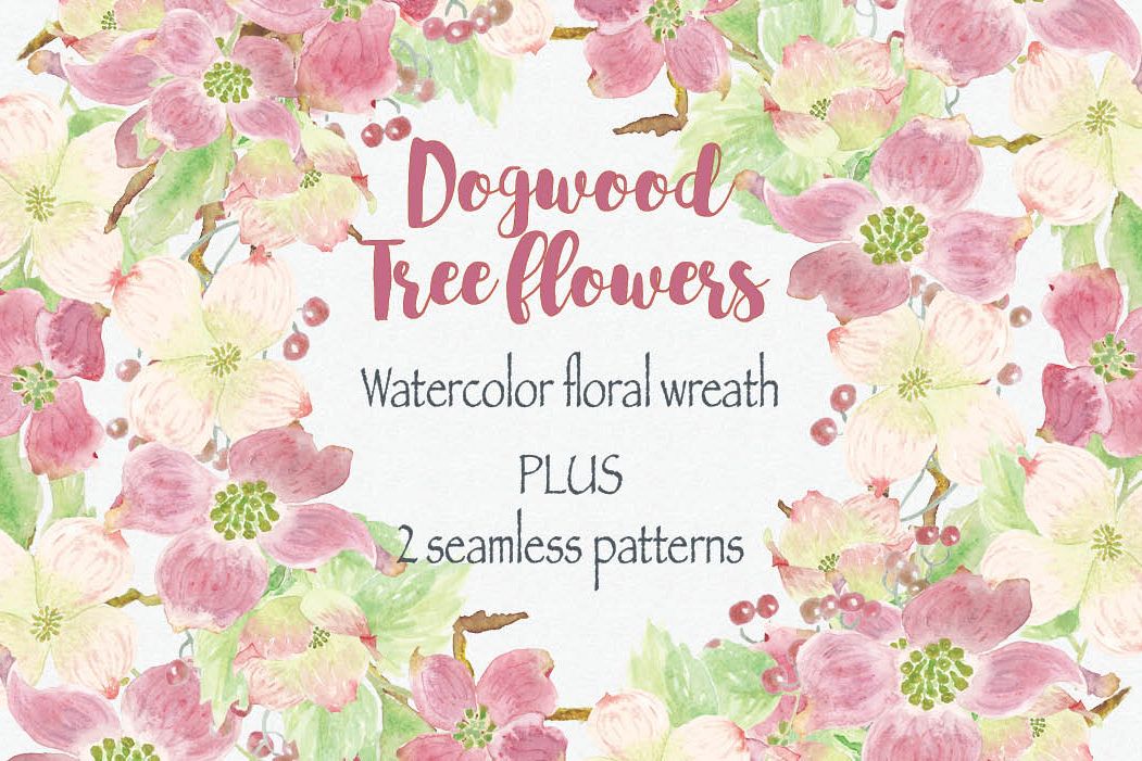 1051x701 Watercolor Wreath Of Dogwood Tree Flowers