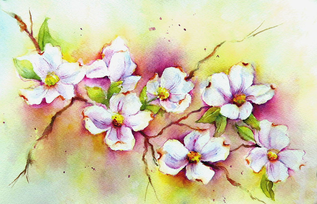 1024x660 Dogwood Watercolor Arches 140 Cp The Dogwoods Are