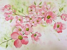 236x178 Dogwood Flowers