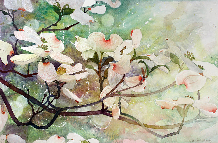 900x592 Dogwood In Spring Painting By Susan Avis Murphy