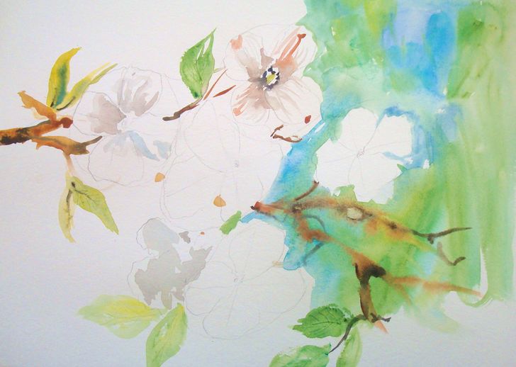 728x518 How To Celebrate Easter Painting Dogwood In Watercolor