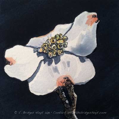 400x400 One Painting A Day Watercolor Mini Painting Of Dogwood Flower By