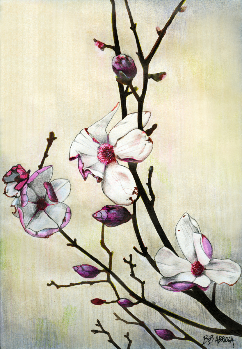 832x1200 Painting Dogwood Flowers (Original Art By Robert Abriola)