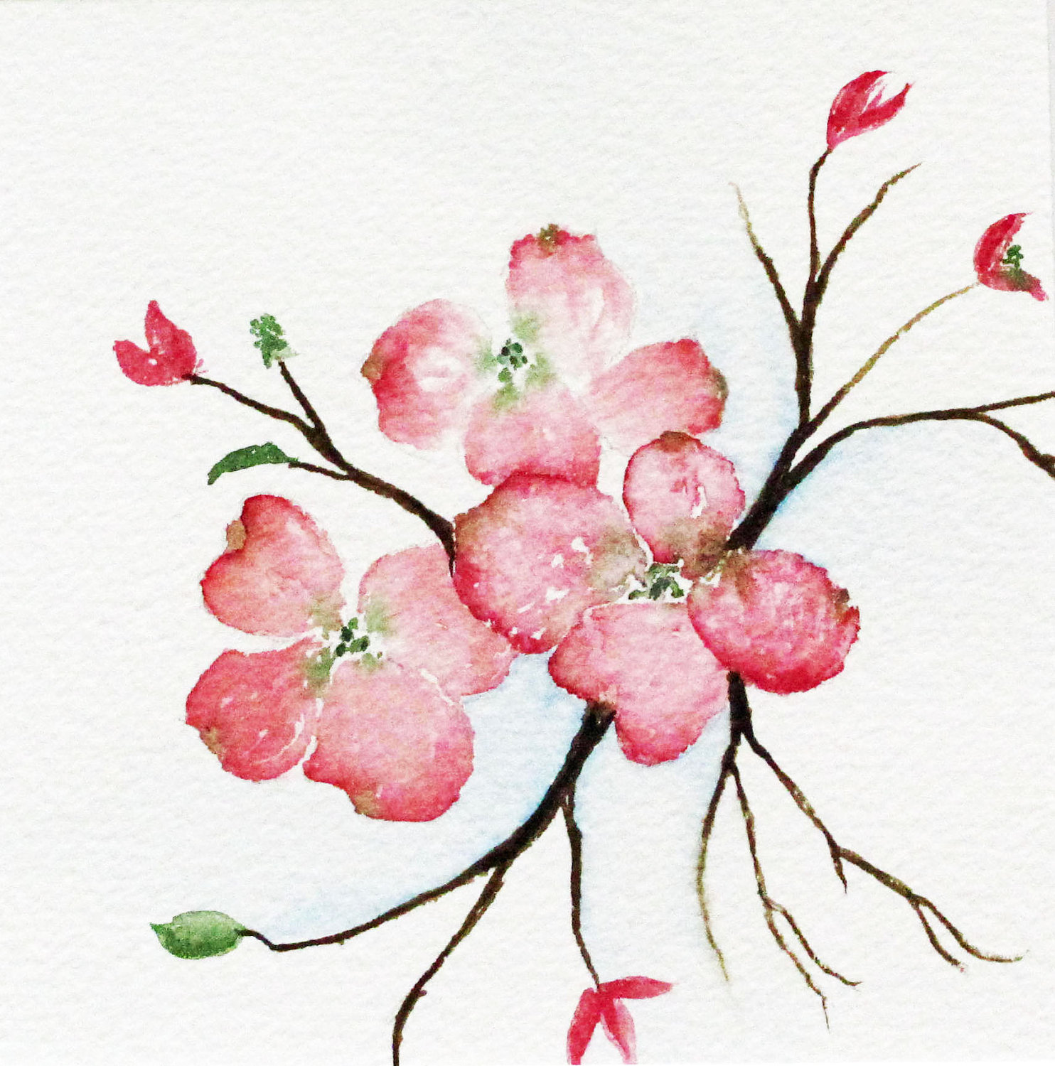 1484x1500 Pink Dogwood Clip Art Free Cliparts