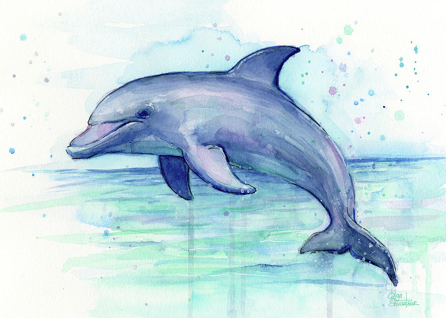 900x642 Dolphin Watercolor Painting By Olga Shvartsur