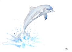 236x171 Dolphin Watercolor By Tina Cash Walsh Tat