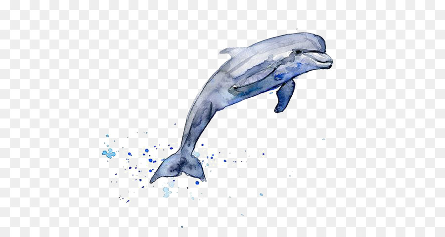 900x480 Drawing Dolphin Watercolor Painting Clip Art