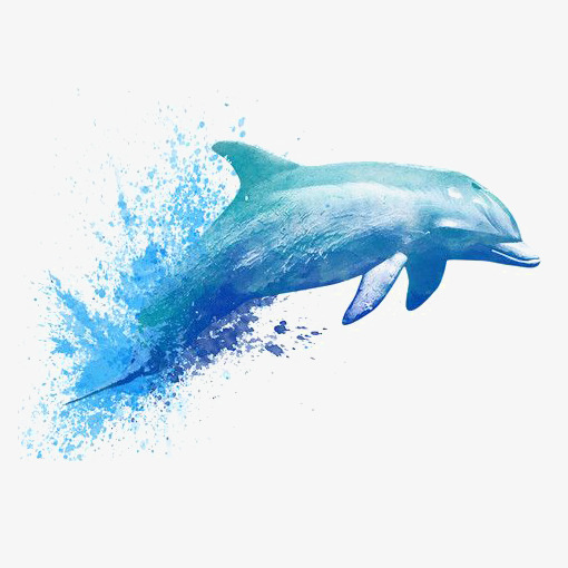 510x510 Watercolor Dolphin, Watercolor Clipart, Dolphin Clipart, Hand