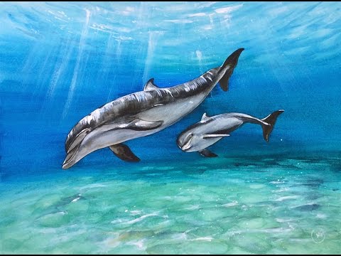 480x360 Watercolor Dolphins Painting Demonstration