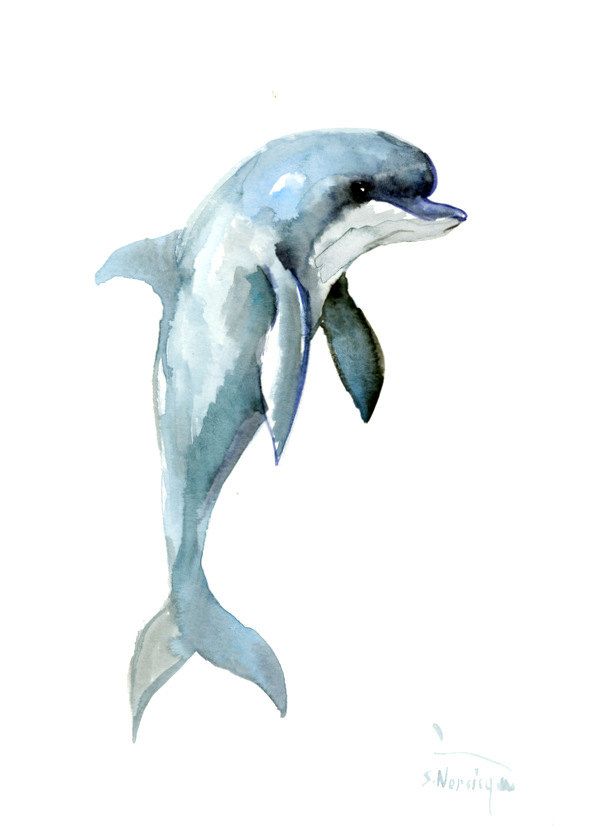 604x830 Dolphin, 12 X 9 In, Original Watercolor Painting 12 X 9 In