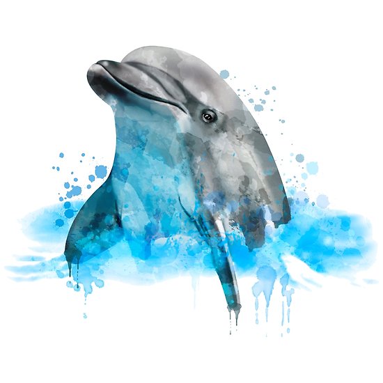 550x550 Dolphin, Watercolor Dolphin, Dolphin In Water Posters By