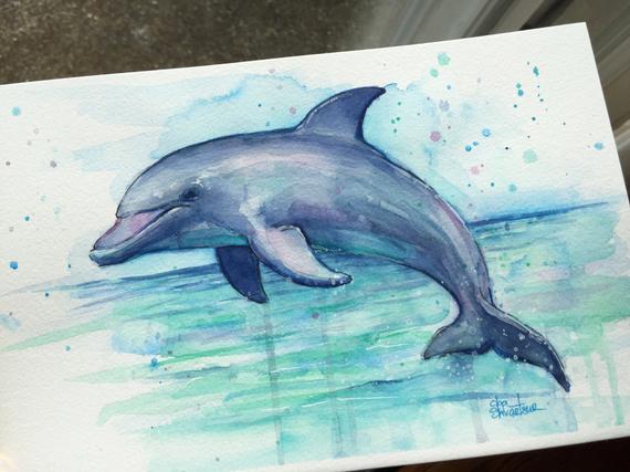 570x427 Dolphin Watercolor Painting Dolphin Art Sea Creatures Etsy