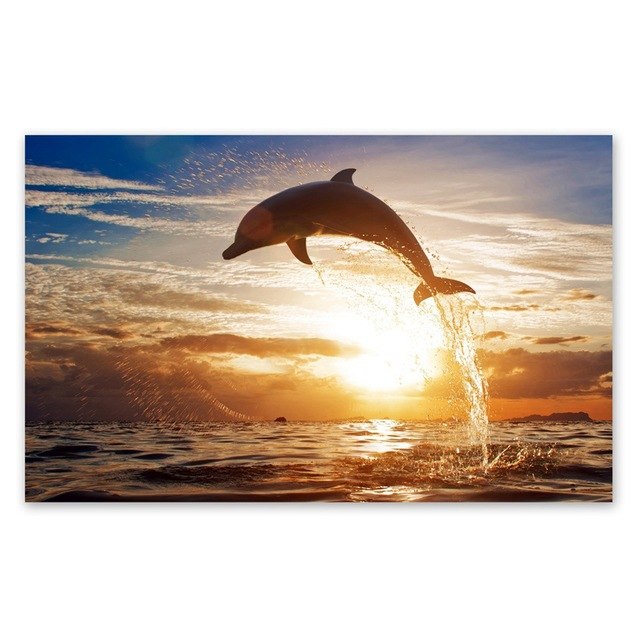 640x640 Watercolor Whale Dolphin Painting Wall Art Print Pictures, Hand