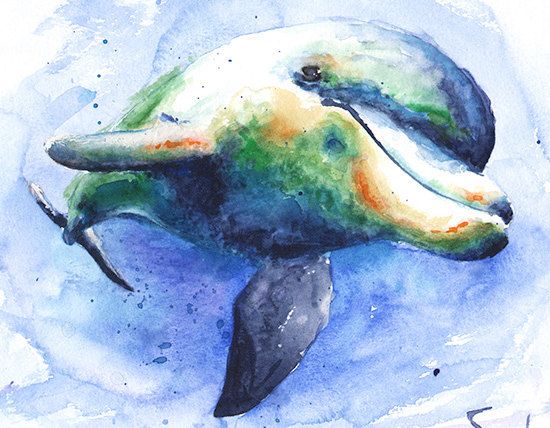 550x428 Dolphin Painting Watercolor Dolphin Art Dolphin By Signedsweet