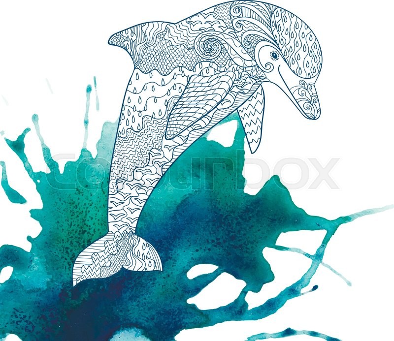 800x693 Happy Dolphin With High Details On Watercolor Background. Adult