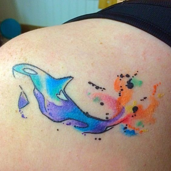 564x564 Image Result For Watercolor Pencil Dolphins Tattoos