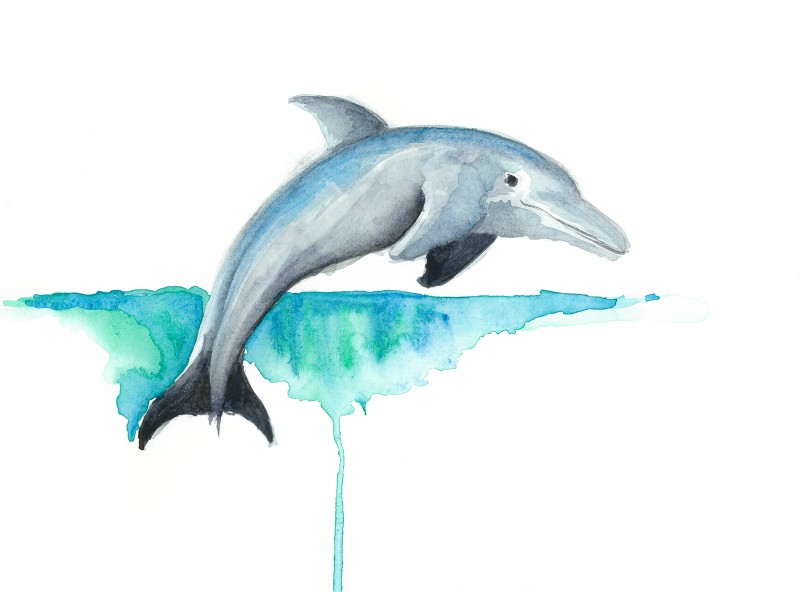 800x592 Sweet Watercolor Swimming Dolphin Tattoo Design By Enviousv