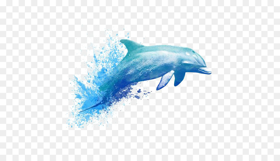 900x520 Watercolor Painting Drawing Dolphin Tattoo