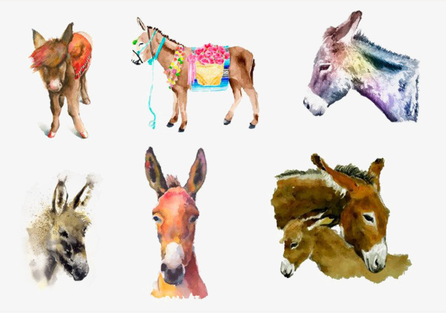 650x456 Donkey Watercolor Painting, Donkey, Animal, Colorful Png And Psd