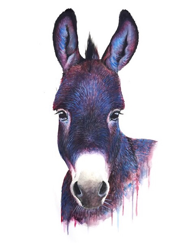 640x799 Donkey