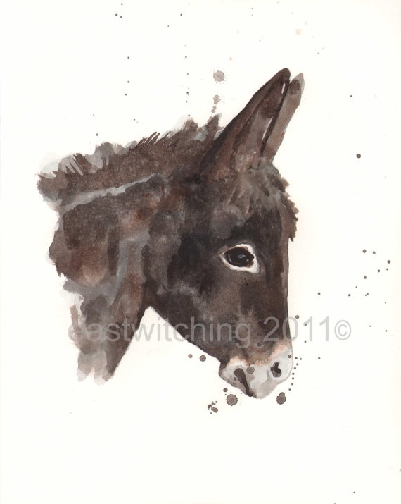 570x715 Drawn Donkey Watercolor