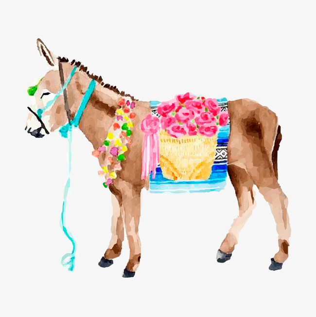 650x651 Hand Painted Watercolor Little Donkey, Watercolor Clipart, Donkey