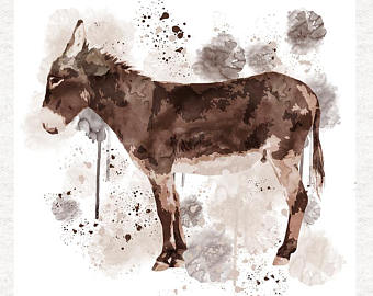 340x270 Watercolor Donkey Etsy