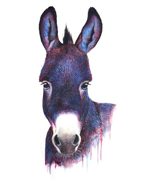 498x621 Donkey