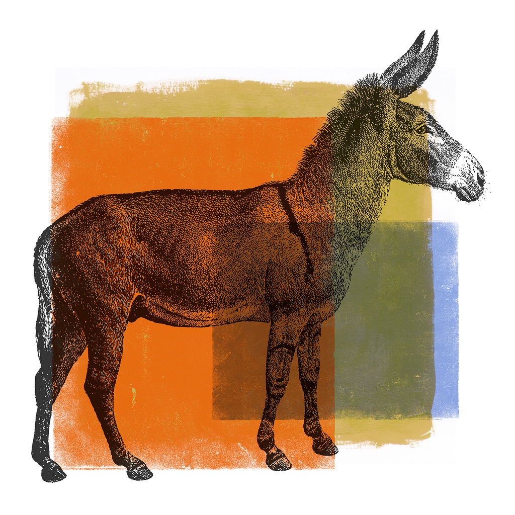 1024x1024 Watercolor Donkey 1 Original Digital Collage. Georgia