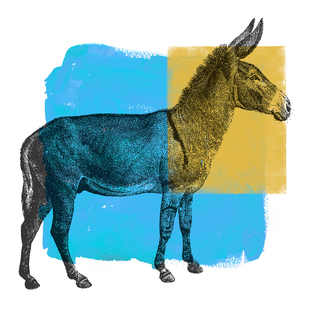 1024x1024 Watercolor Donkey 3 Original Digital Collage. Georgia