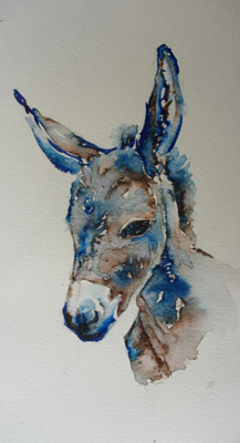 217x400 Beautiful Animal Watercolours I Jo Fox Adventures In Art