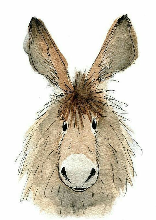540x760 Donkey Journals Donkey, Watercolor And Animal