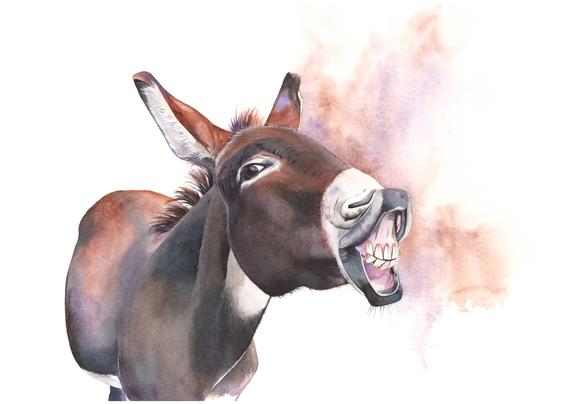 570x404 Donkey Print Of Watercolor Painting D1315 Donkey Watercolour Etsy