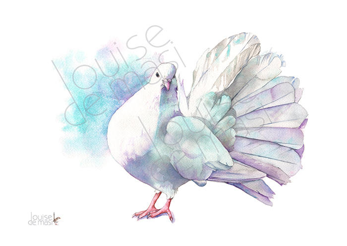 700x496 Dove Print Of Watercolour Painting A4 Size D22217 Dove Etsy