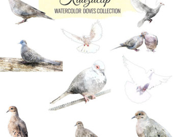 340x270 Dove Watercolor Etsy