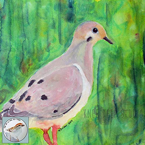 500x500 Mourning Dove Watercolor 9x12 Fine Art Bird Painting