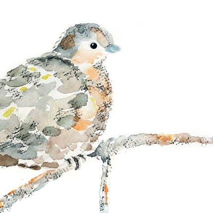 430x430 Bird Nursery Art Print, Dove Watercolor Painting