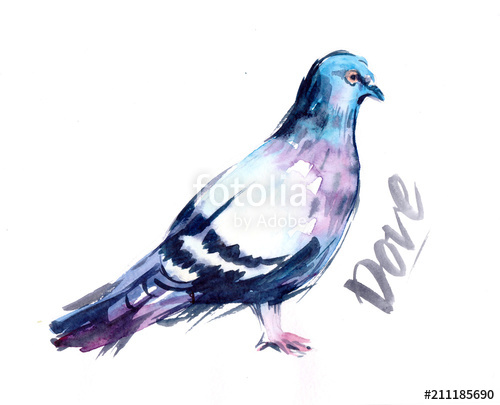 500x405 Watercolor Dove Stock Photo And Royalty Free Images On Fotolia