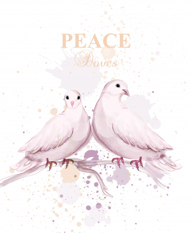 626x763 Watercolor Dove Birds Vector Premium Download