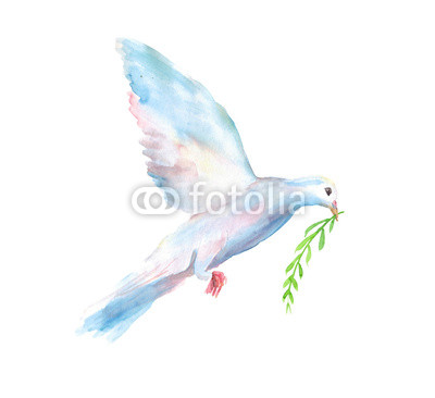 400x366 Watercolor Hand Drawn Sketch Illustration Of White Dove Of The