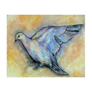 300x300 Dove Watercolor Painting By Amanda Hukill