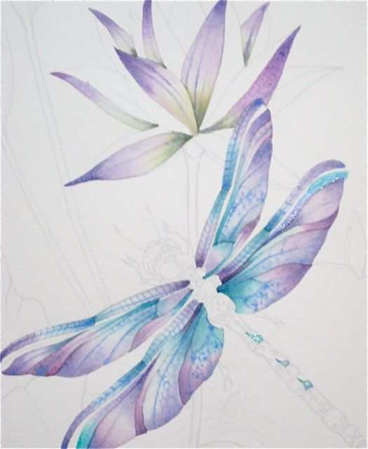 525x640 Dragonfly Painting Beautiful Dragonflies Frogs Flowers